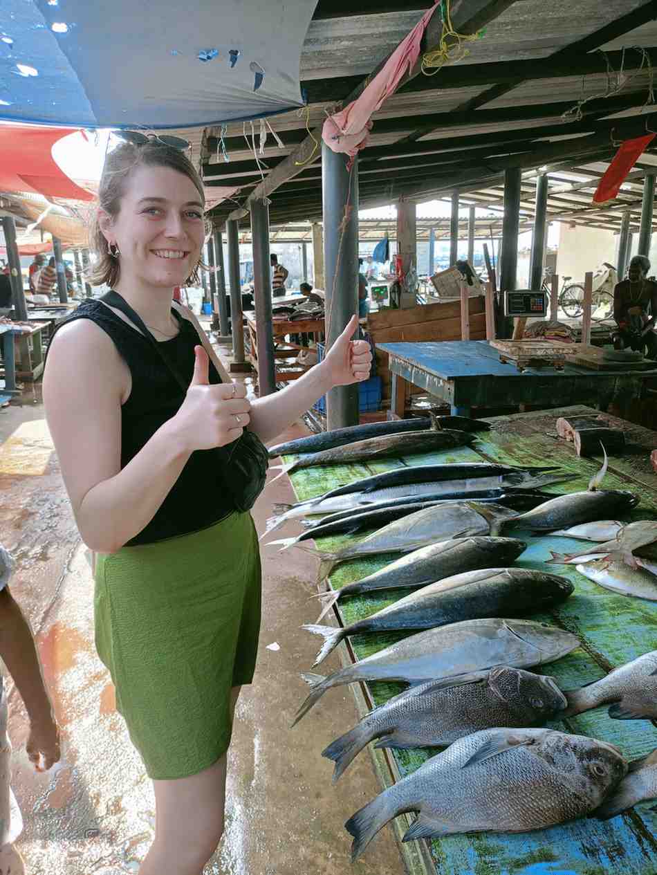 Scenic mountain view during DMTOURS trip