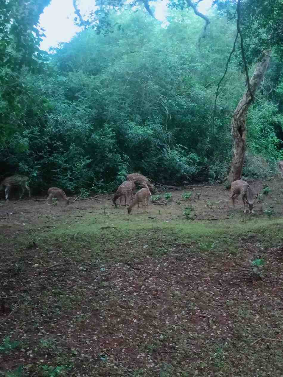 Stunning sunsets and beaches of Sri Lanka