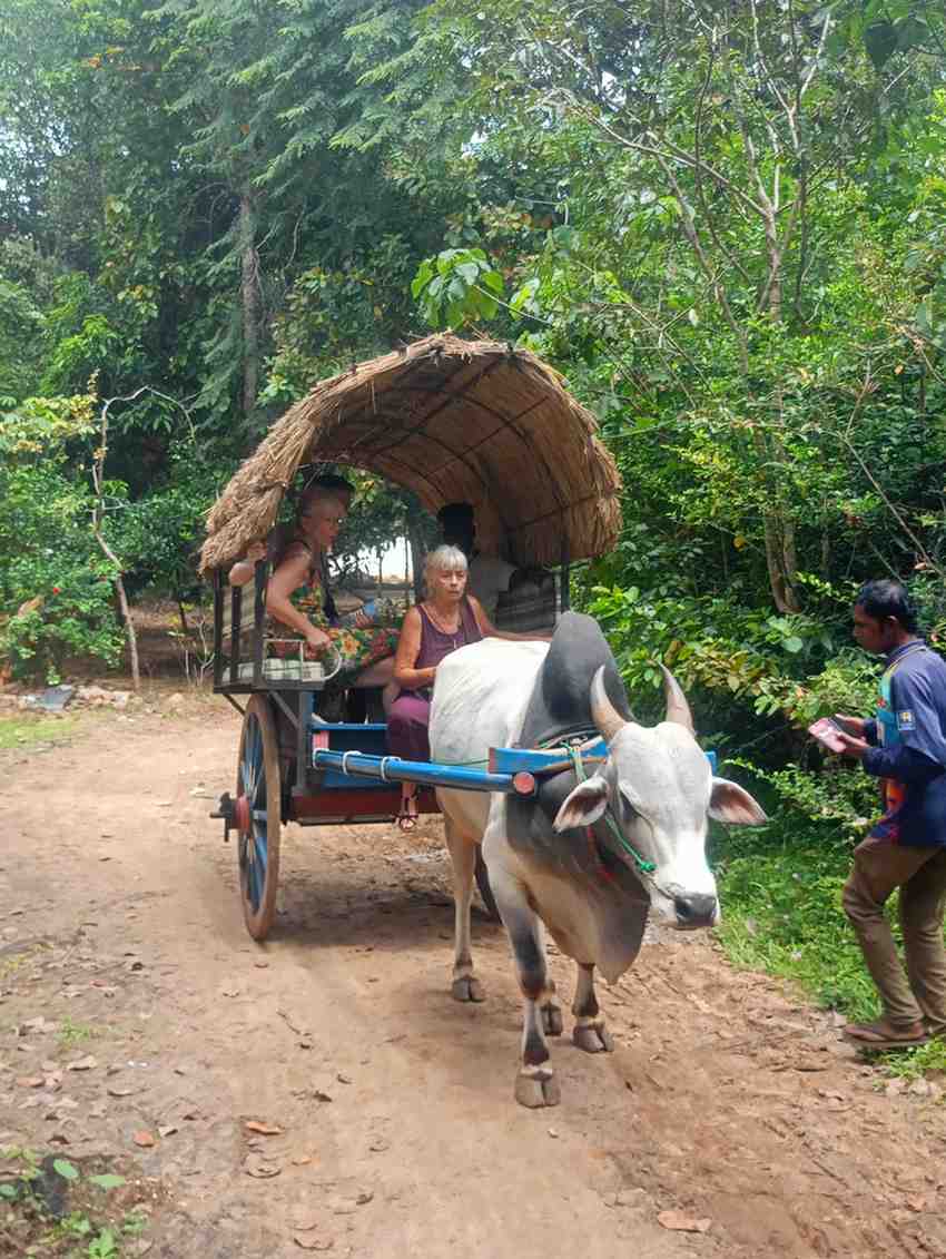 Authentic Experience