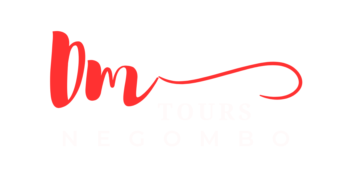 DMTOURS Logo
